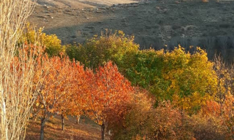 رزرو بوم گردی سورت اتاق (1)