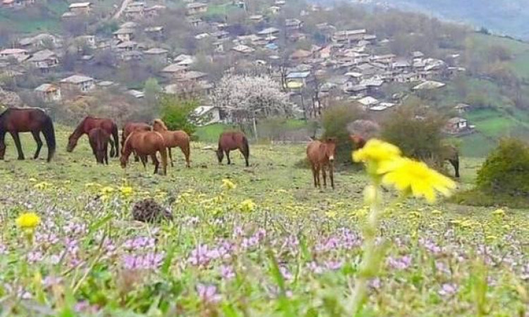 بوم گردی بابا نوروز