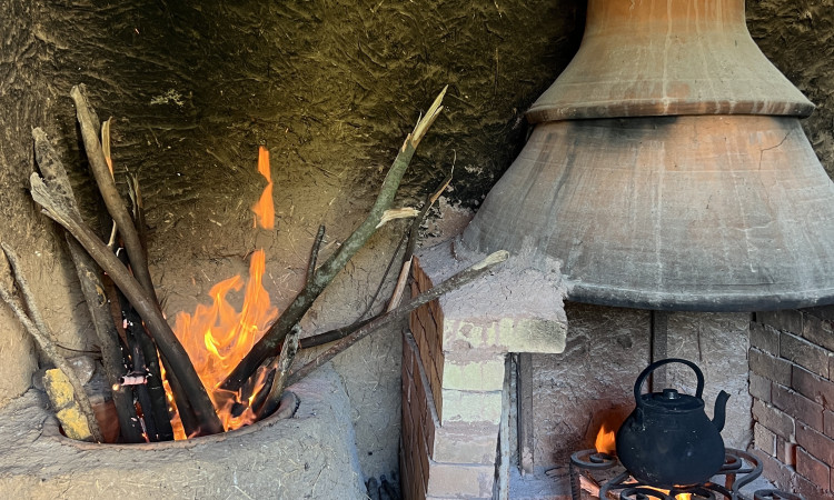 اجاره ویلا جنگلی بهار نارنج
