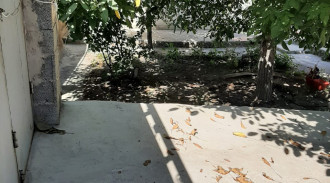 فيلا داريوش بغرفة نوم واحدة للإيجار