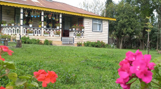 اجاره ویلا باغ دوخوابه با چشم انداز جنگل