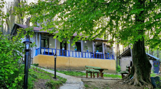 اجاره ویلا جنگلی فانوس