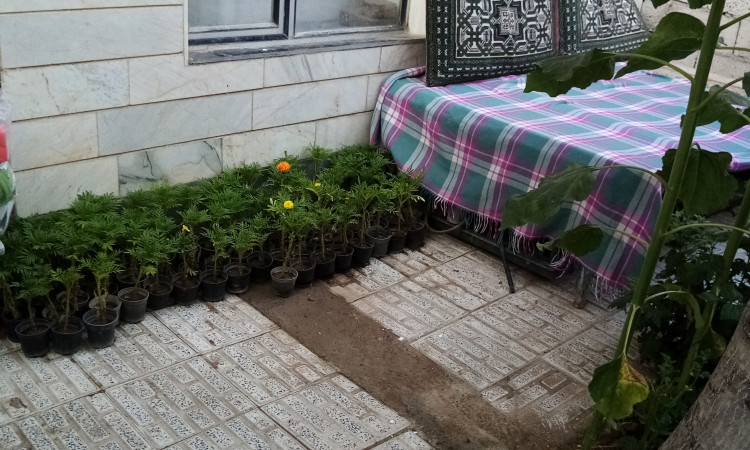 اجاره خانه مبله تک خوابه، همکف باپارکینگ