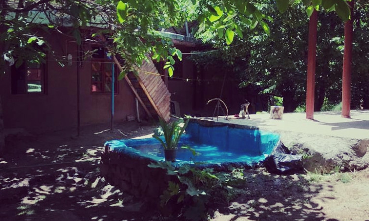 بومگردی شکوفه های گیلاس