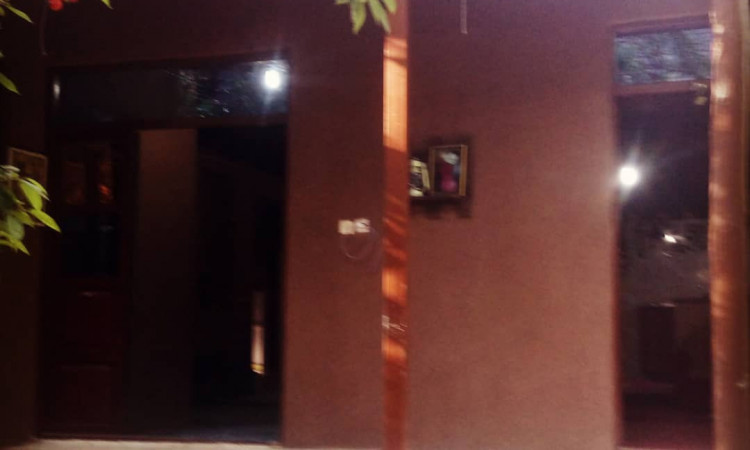 بومگردی شکوفه های گیلاس