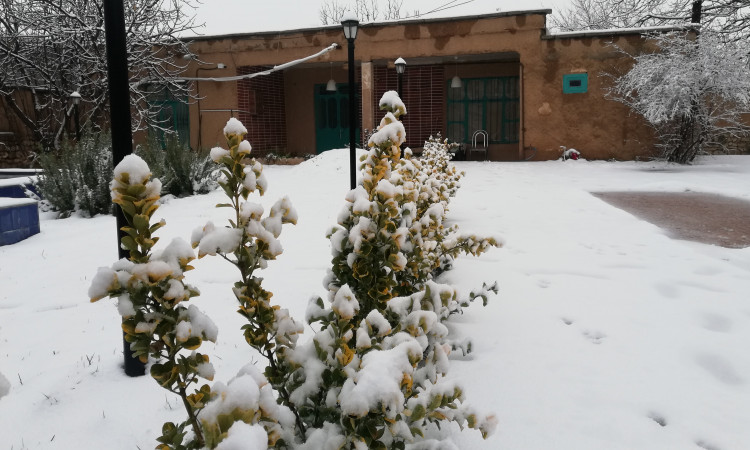 اجاره ویلا دو خوابه (آبنمای بزرگ) حسینی منش