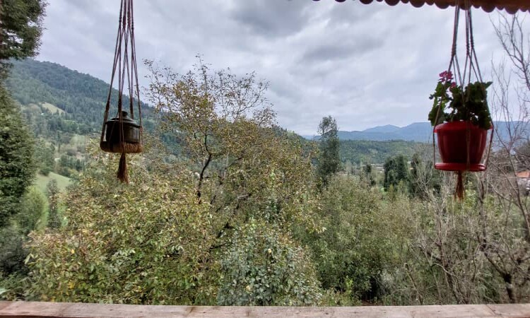 ویلا سنتی 2 خوابه پدر بزرگ
