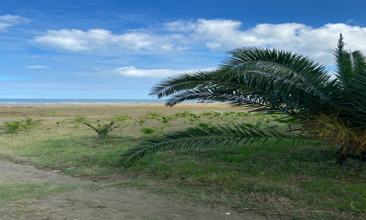 اجاره مجتمع ساحلی ستاره خزر سنگاچین ( تک خوابه 1)