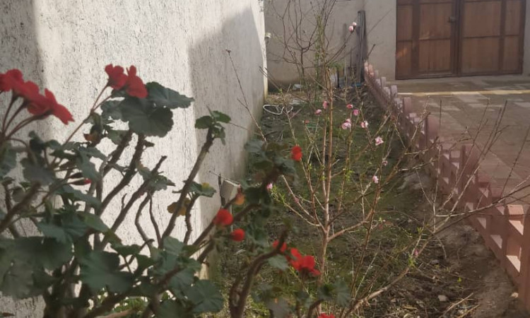 رزرو بوم گردی بانو مسافر