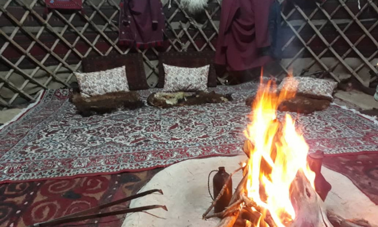 رزرو بوم گردی دره پنج شیر