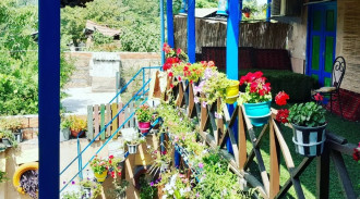 اقامتگاه جنگلی خانه سبز واحد10