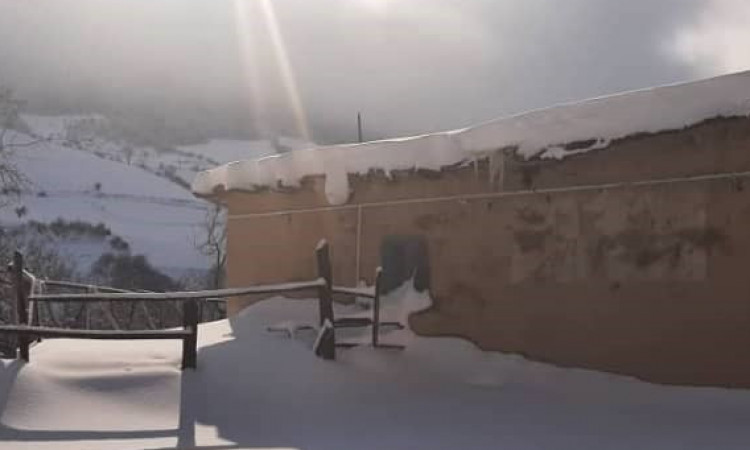 اجاره ویلا باغ پاچنار