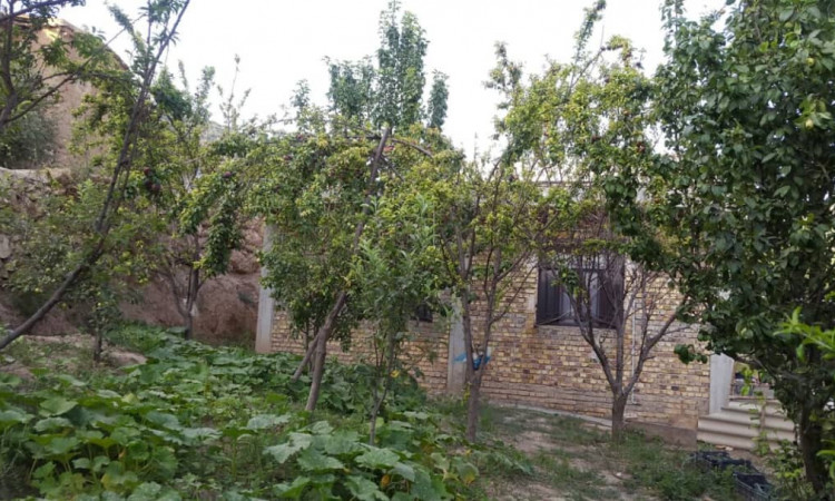 اجاره ویلا باغ پاچنار