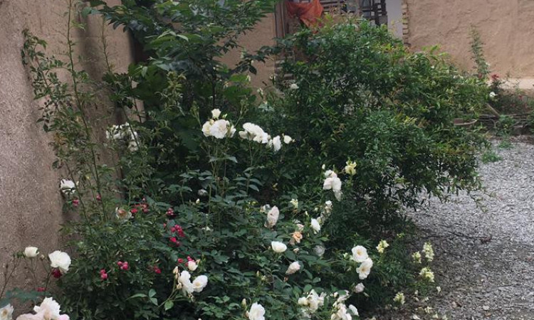 رزرو بوم گردی جمال اتاق 75 متری پایین