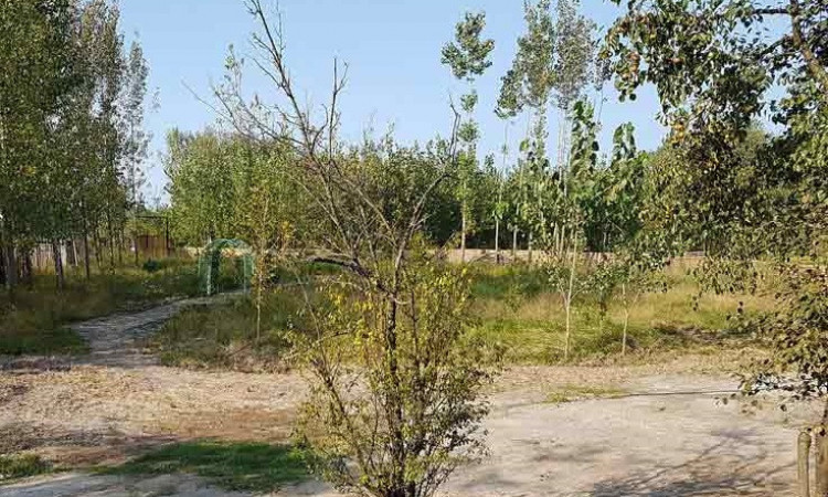 رزرو بوم گردی قدیم خونه(اتاق وانیشا- تخت خواب دار)