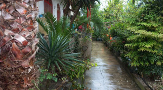 فيلا محمية بغرفة نوم واحدة