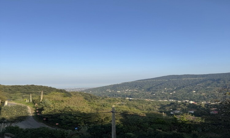 ویلا جنگلی جکوزی روباز با ویو دریا و جنگل