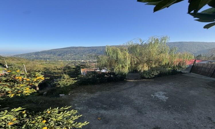 ویلا جنگلی جکوزی روباز با ویو دریا و جنگل