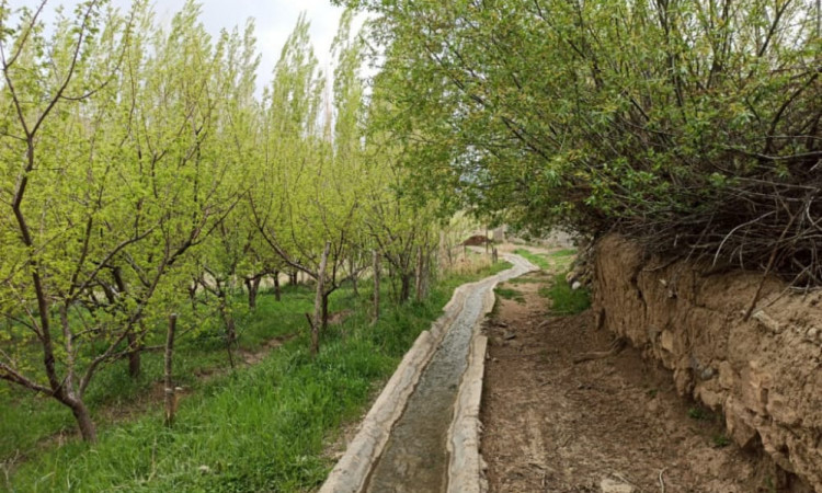 رزرو بوم گردی مهکده (اتاقvip)جنگل ابر