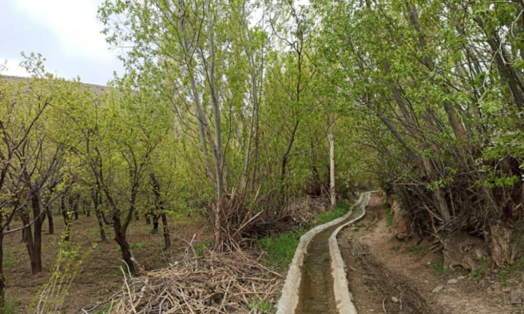 رزرو بوم گردی مهکده (اتاقvip)جنگل ابر