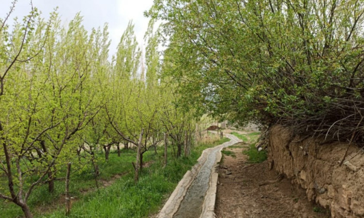 رزرو بوم گردی مهکده(اتاق3)جنگل ابر