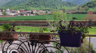 أمير جورجان 2 استئجار شقة