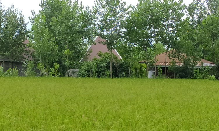 رزرو کلبه مش بابا روستای صوفیانده