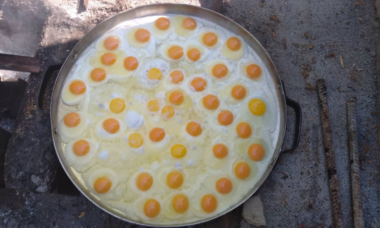 رزرو اقامتگاه بوم گردی بای پولاد (اتاق کوچک)