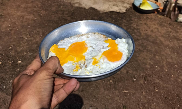اجاره کلبه اکولوژ جنگلی وییرگاه