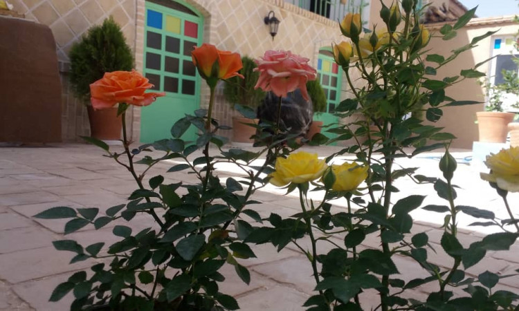 بوم گردی هرمنگان بوانات اتاق 15 متری(15متری)