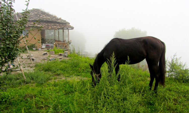 خانه روستایی چوبی جنگلی_فیلبند_روستای تیار