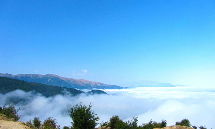 خانه روستایی چوبی جنگلی_فیلبند_روستای تیار