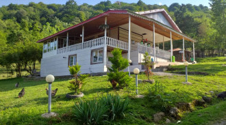 اجاره ویلا جنگلی دو خوابه در ماسال