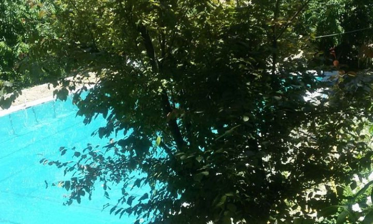 رزرو بوم گردی کاهار (اتاق سه)