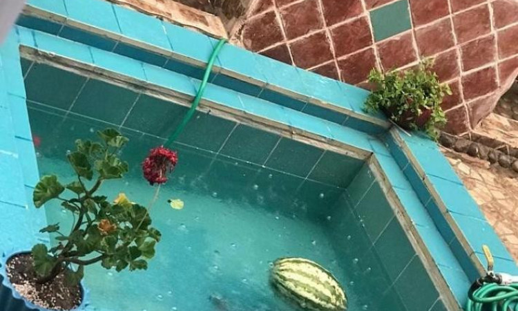 رزرو بوم گردی چشمه عروس سوییت آشپزخانه دار 1