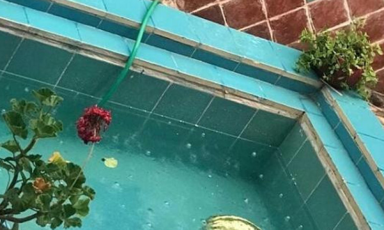 رزرو بوم گردی چشمه عروس سوییت آشپزخانه دار 2