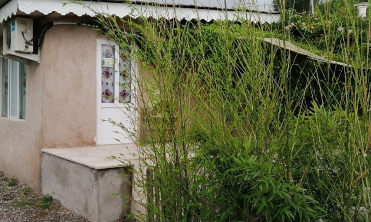 اجاره ویلا گیلدا حلیمه جان