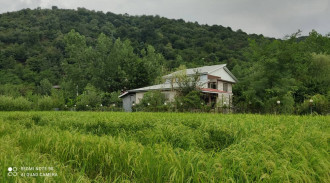 اجاره ویلا دوبلکس 3خوابه کنار شالیزار ماسال