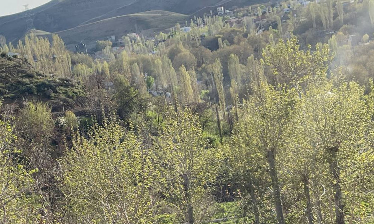 اجاره ویلای دوبلکس استخردار آبگرم در کردان