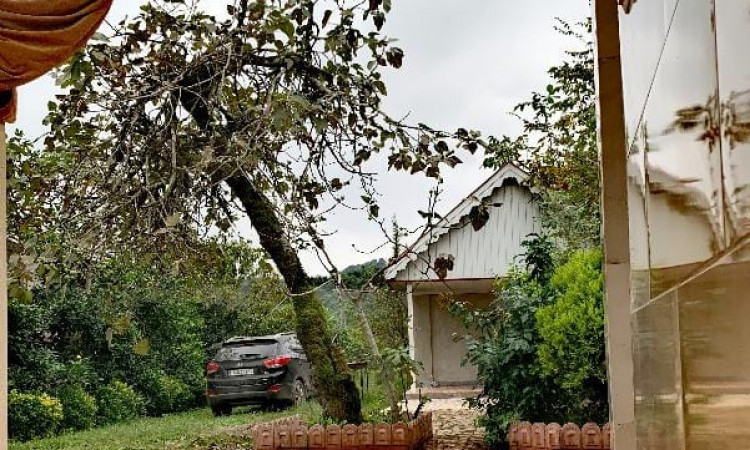 اجاره سوئیت جنگلی ماسال