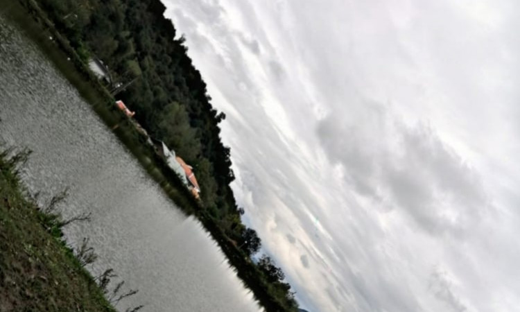 اجاره سوئیت جنگلی ماسال