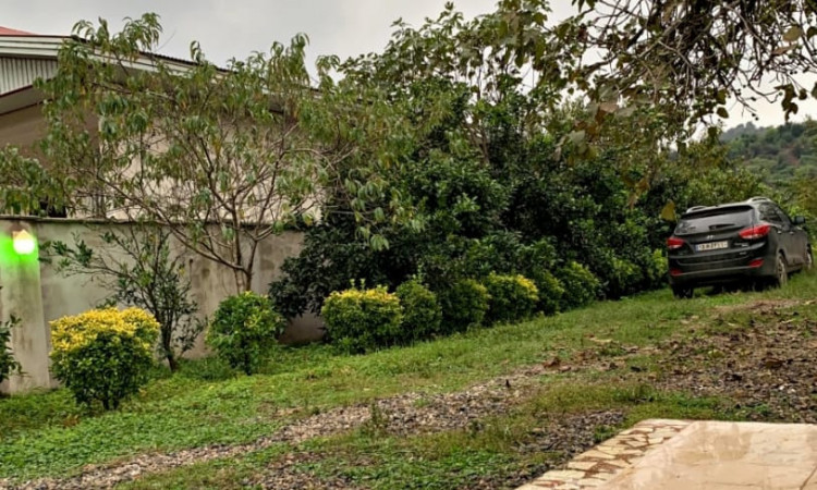 اجاره سوئیت جنگلی ماسال