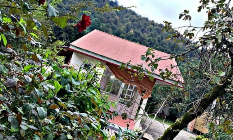 اجاره سوئیت جنگلی ماسال