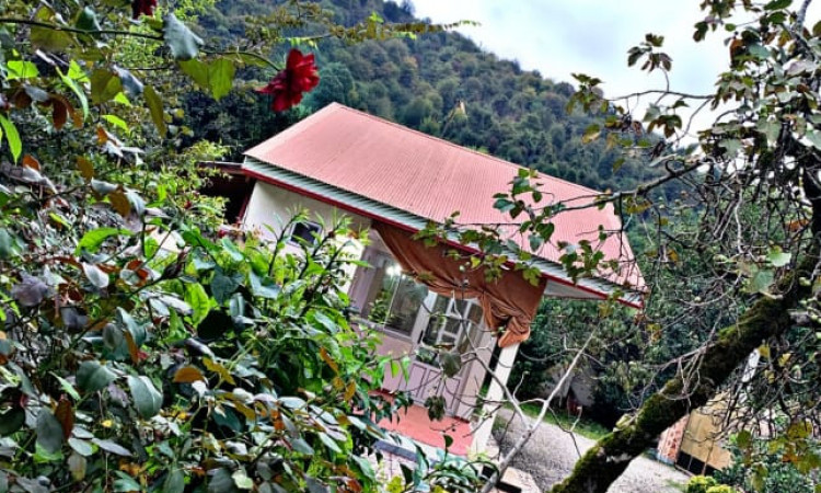 اجاره سوئیت جنگلی ماسال