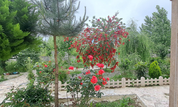 اجاره ویلا استخر اب گرم دربستی.