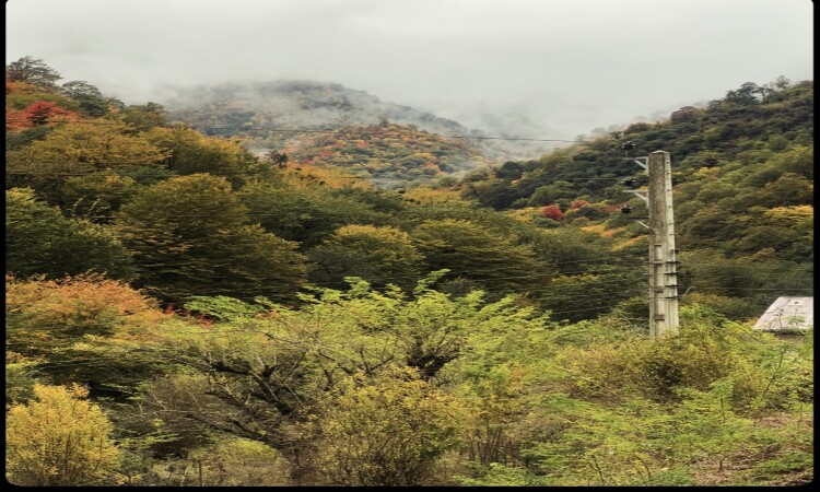 اجاره ویلا جنگلی دوخوابه در ماسال