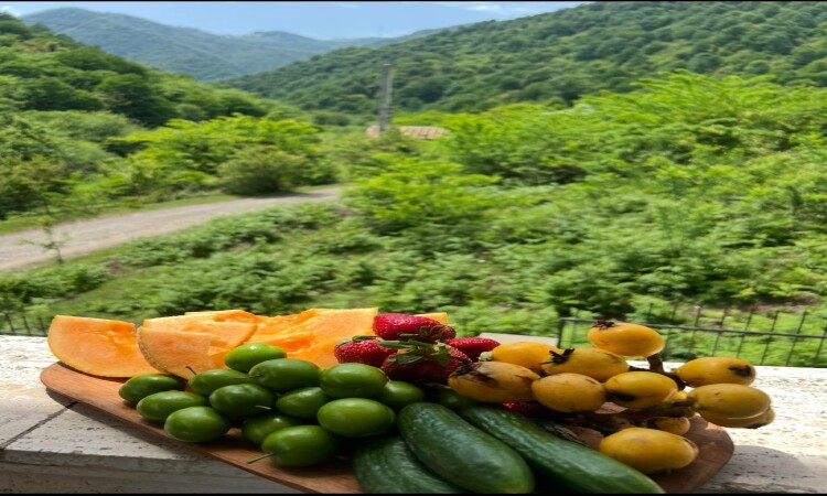 اجاره ویلا جنگلی دوخوابه در ماسال