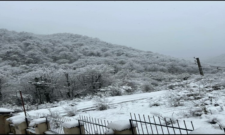 اجاره ویلا جنگلی دوخوابه در ماسال