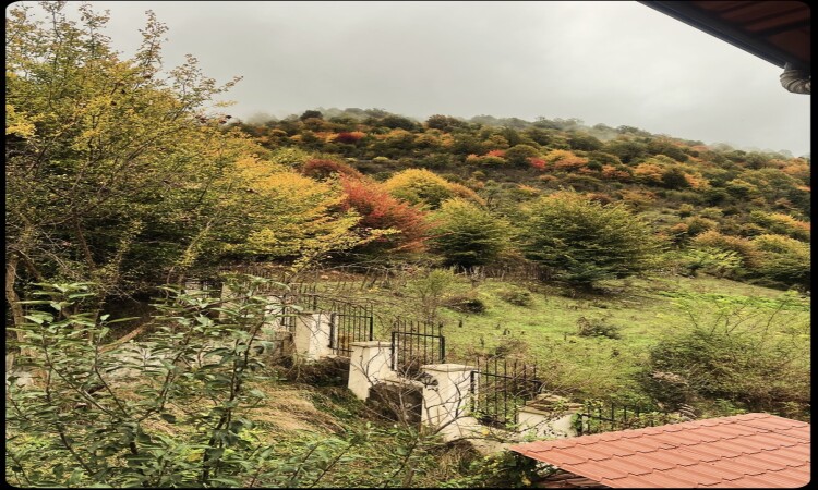 اجاره ویلا جنگلی دوخوابه در ماسال