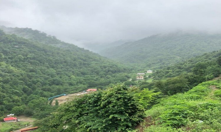 اجاره ویلا جنگلی دوخوابه در ماسال